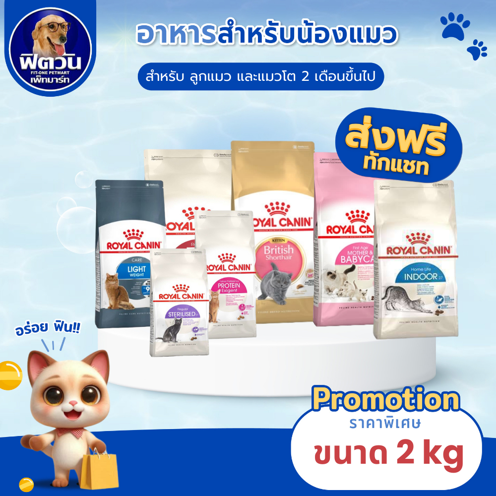 ROYAL CANIN อาหารแมวทุกสายพันธุ์ ขนาด 2 กิโลกรัม{อาหารแมวเม็ด}