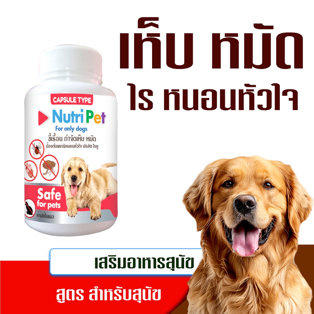 เสริมอาหารสุนัข ดูแลผิวสุนัข แก้เห็บหมัด ป้องกันเห็บหมัด