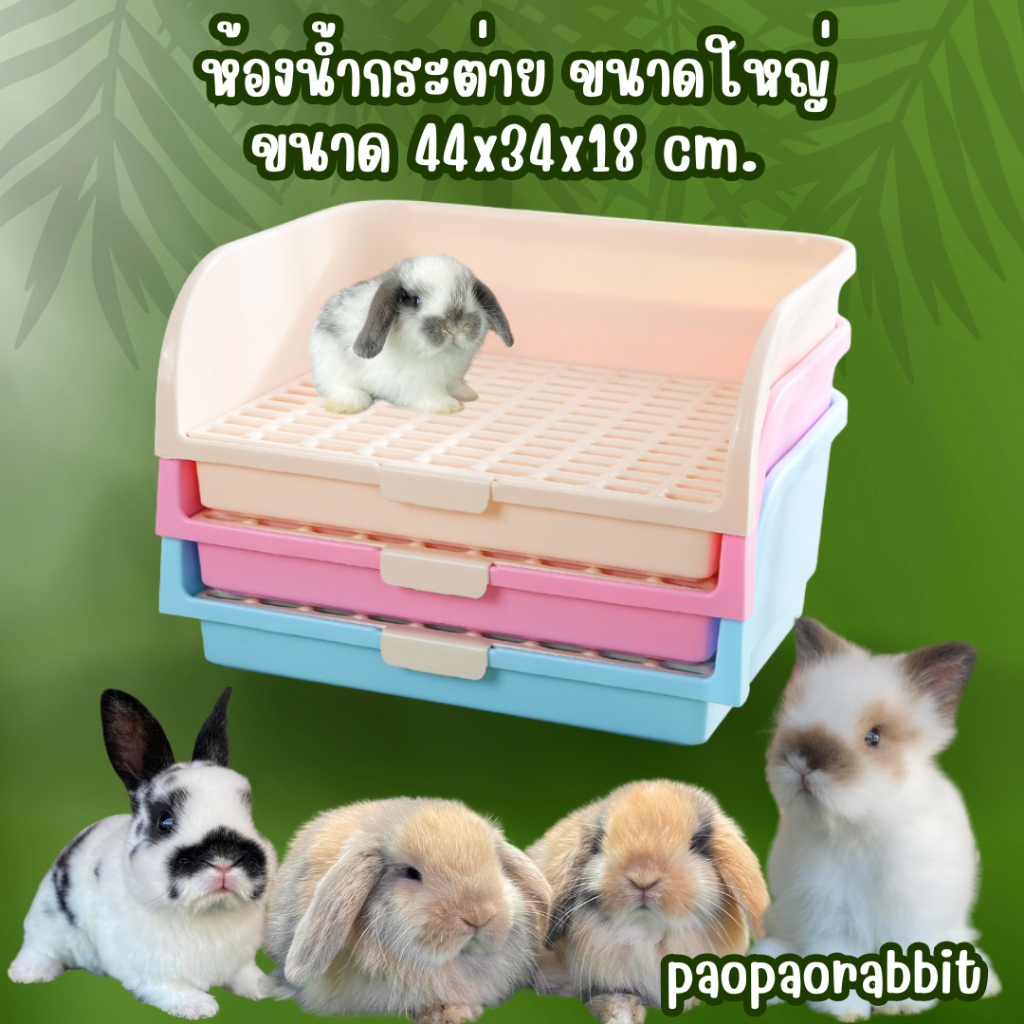 ห้องน้ำกระต่าย ขนาดใหญ่