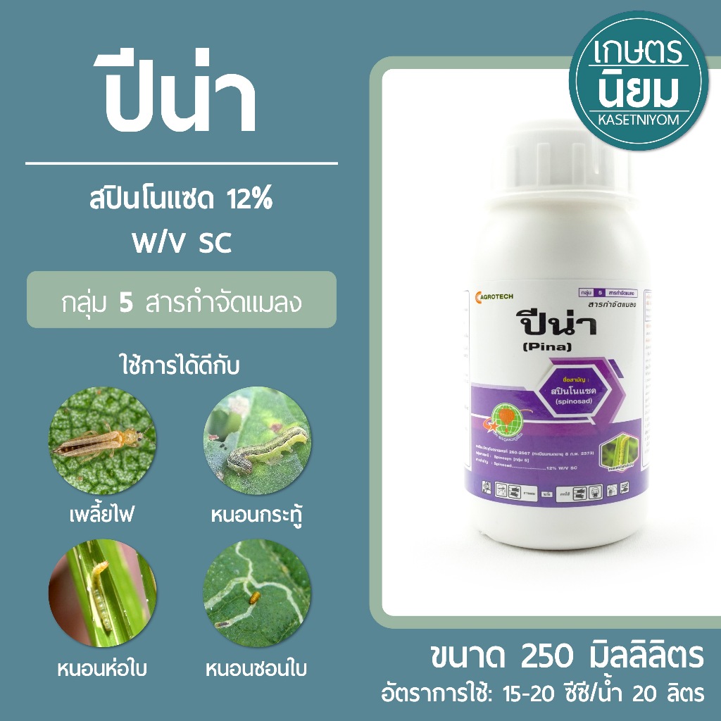 ปีน่า (สปินโนแซด 12% W/V SC) 250 ซีซี