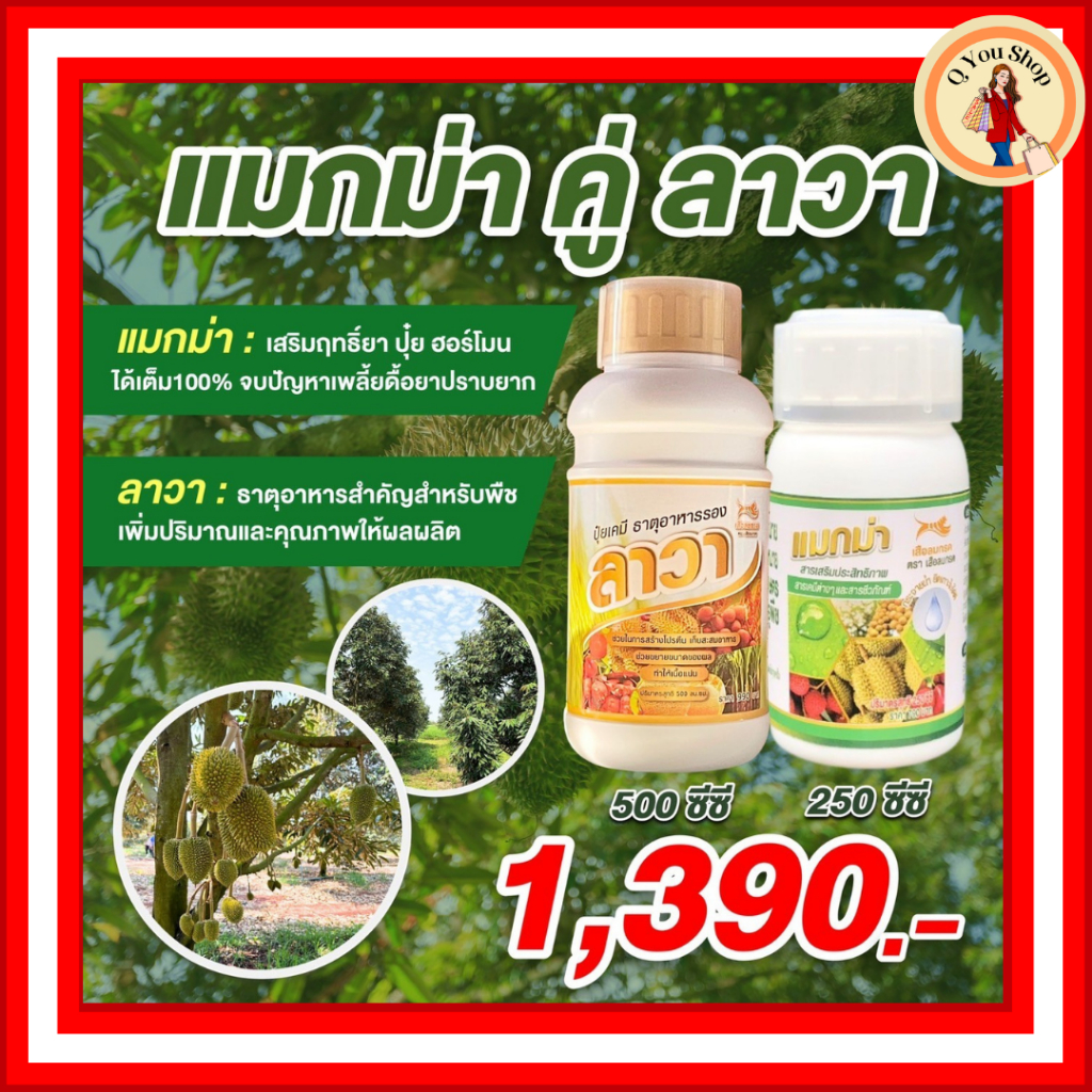 แมกม่า ลาวา (ชุดเล็ก) 2 ขวด ส่งฟรี แมกม่าสารเสริมประสิทธิภาพ ลาวาขนาดผลสมบูรณ์ เพลี้ยจักจั่น เพลี้ยไฟ ไรแดง ใบเหลือง