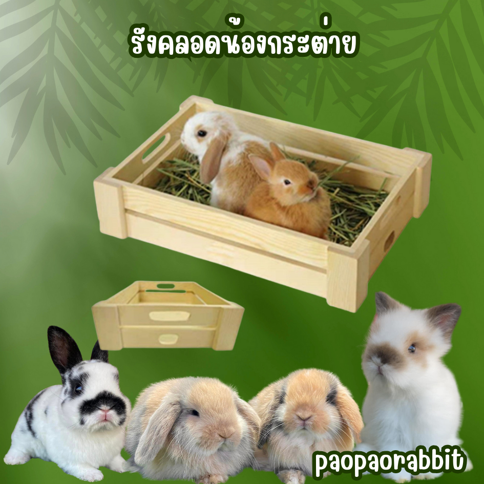 รังคลอดไม้ รางหญ้าแบบไม้ มีตัวล็อคติดกรง