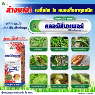 คลอร์ฟีนาเพอร์ ยาฆ่าหนอน เพลี้ยไฟ ไรแดง หนอนกระทู้ข้าวโพด หนอนกระทู้ผัก หนอนเจาะผล หนอนเจาะดอก เอเจนต้า คอร์ป (1 ลิตร)