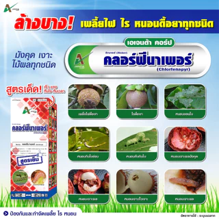 คลอร์ฟีนาเพอร์ ยาฆ่าหนอน เพลี้ยไฟ ไรแดง หนอนกระทู้ข้าวโพด หนอนกระทู้ผัก หนอนเจาะผล หนอนเจาะดอก เอเจนต้า คอร์ป (1 ลิตร)