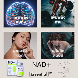 Essential ND+ อาหารเสริมเพื่อสุขภาพแบบองค์รวม 1 กล่อง 30 แคปซูล