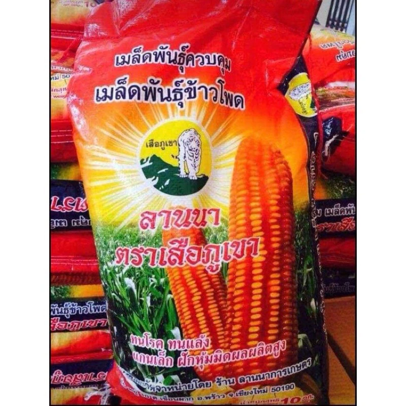 ข้าวโพดเลี้ยงสัตว์ ตรา เสือภูเขาพันธุ์ฝักแฝด (พร้อมส่งด่วน)ขนาด10กิโลกรัม/ซื้อได้ออเดอร์ละ 1 กระสอบ สินค้ามีพร้อมส่ง