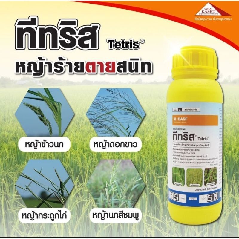 ทีทริส 500ซีซี (โพรฟอกซิดิม) กำจัดวัชพืชประเภทใบแคบ เช่น หญ้าข้าวนก หญ้าดอกขาวและหญ้านกสีชมพู