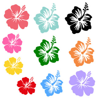 ตัวรีดติดเสื้อ ติดกระเป่า ลายดอกชบา Vol.1 มีหลายแบบ ใช้งานง่…