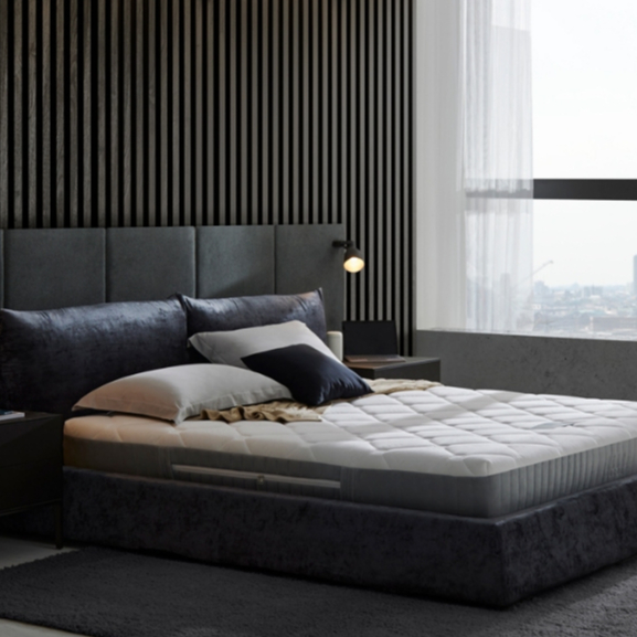 ELLE Decor ที่นอนยางพารา รุ่น LAMONT หนา 9 นิ้ว ฟรีของสมนาคุณตามขนาดที่นอน ส่งฟรี