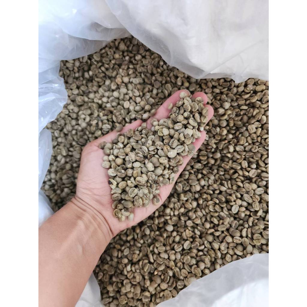(เกรดA) 10Kg. สารกาแฟดอยปางขอน ส่งจาก จ.เชียงราย Arabica 100%