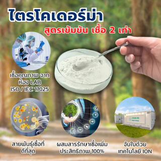 ไตรโคเดอร์ม่า สูตรเข้มข้น เชื้อ 2 เท่า แบบผง ปลอดภัย 100 %
