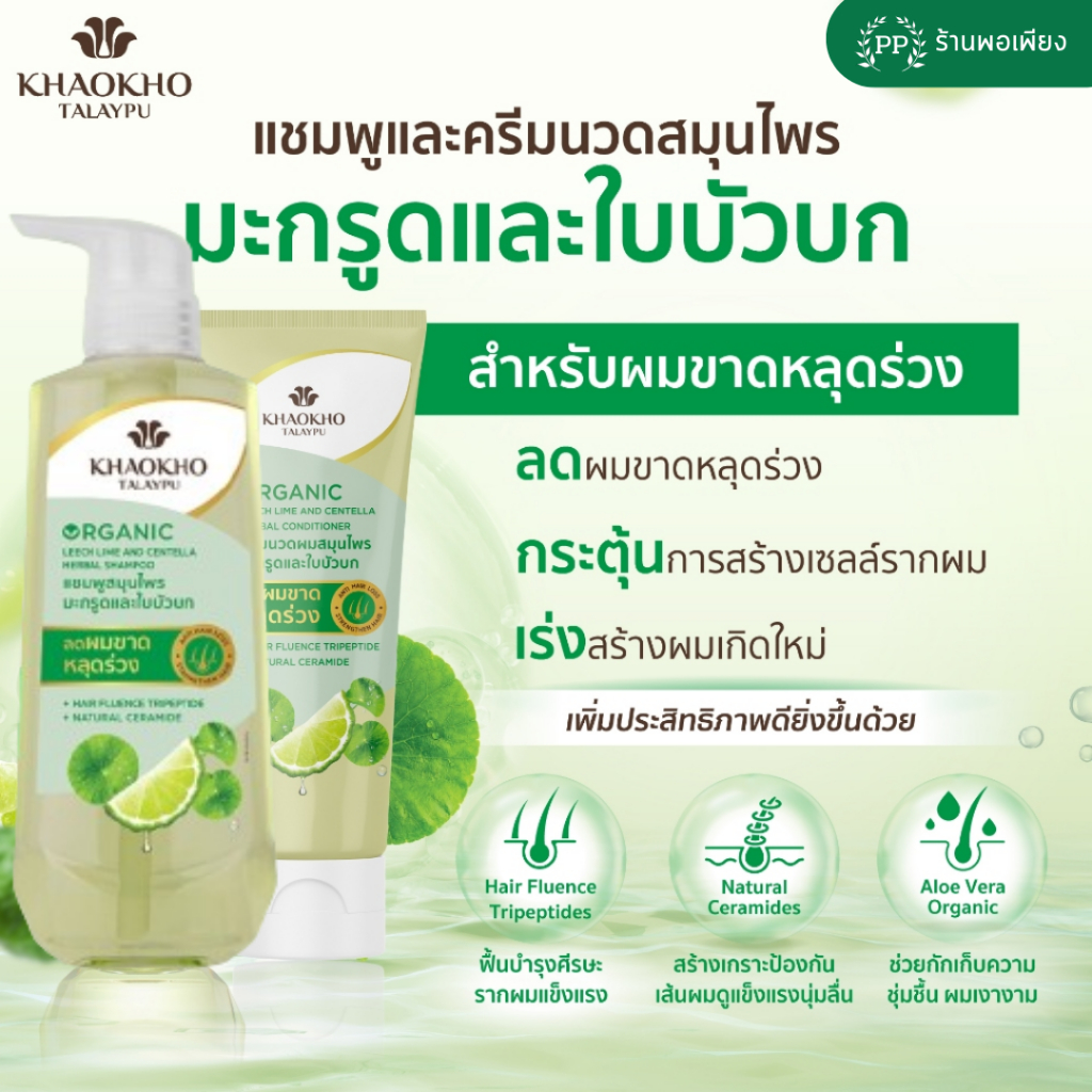 เซ็ตใหญ่สุดคุ้ม เขาค้อทะเลภู แชมพู ครีมนวดผม และทรีทเม้นท์ สมุนไพร - SET KHAOKHO TALAYPU Shampoo Conditioner & Treatment - รูปที่ 2