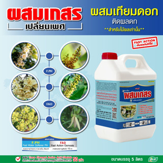 ยาผสมเกสร ติดผลดก ขั้วเหนียว ยาผสมเทียม ผสมเกสรดอก ฮอร์โมนพื…