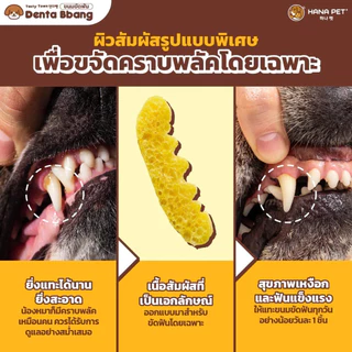 Hana Pet ขนมขัดฟันสุนัข Denta Bbang แทะสนุก ช่วยให้เหงือกและฟันแข็งแรง แทะได้นาน ช่วยลดกลิ่นปาก