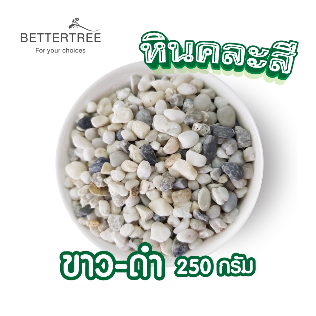 หินสีขาวคละสีดำ เม็ดเล็ก 250 กรัม หินสี  หินกระบองเพชร หินใส่กระถางเล็กๆ หินแม่น้ำ หินใส่แจกัน หินตกแต่งสวนถาด หิน หินกร