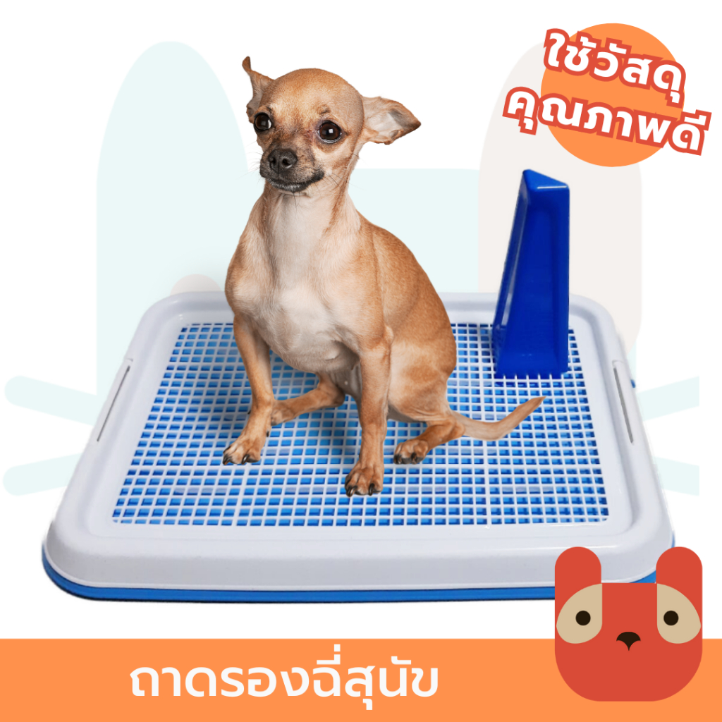 ถาดรองฉี่สุนัข ถาดรองฉี่ ห้องน้ำสุนัข  Dog pee Toilet pad tray
