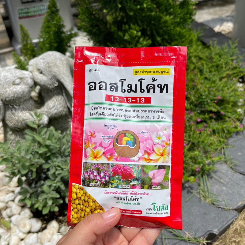 🌿 ปุ๋ยออสโมโค้ด ปุ๋ยละลายช้า 13-13-13/ปุ๋ยบำรุงดอก 12-25-6+mg1% สตาร์เกิลจี  รองก้นหลุมหรือโรยรอบโคนต้น