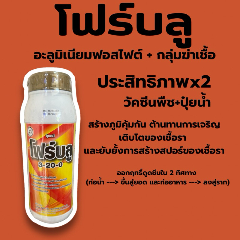โฟร์บลู(อะลูมิเนียมฟอสไฟต์+กลุ่มยับยั้งเชื้อรา) 1 ลิตร วัคซีนพืช+ปุ๋ยน้ำ พ่ฟื้นต้นไม้จากโรคไฟท็อป รากเน่า โคนเน่า