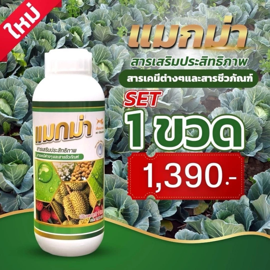 📌 ส่งฟรี 📌 แมกม่าลาวา แมกม่า สารจับใบ ต้านเพลี้ยลดการหลุดร่วง + ปุ๋ยนำ้ลาวา เร่งฟื้นฟูต้น เพิ่มปริมาณผลผลิต