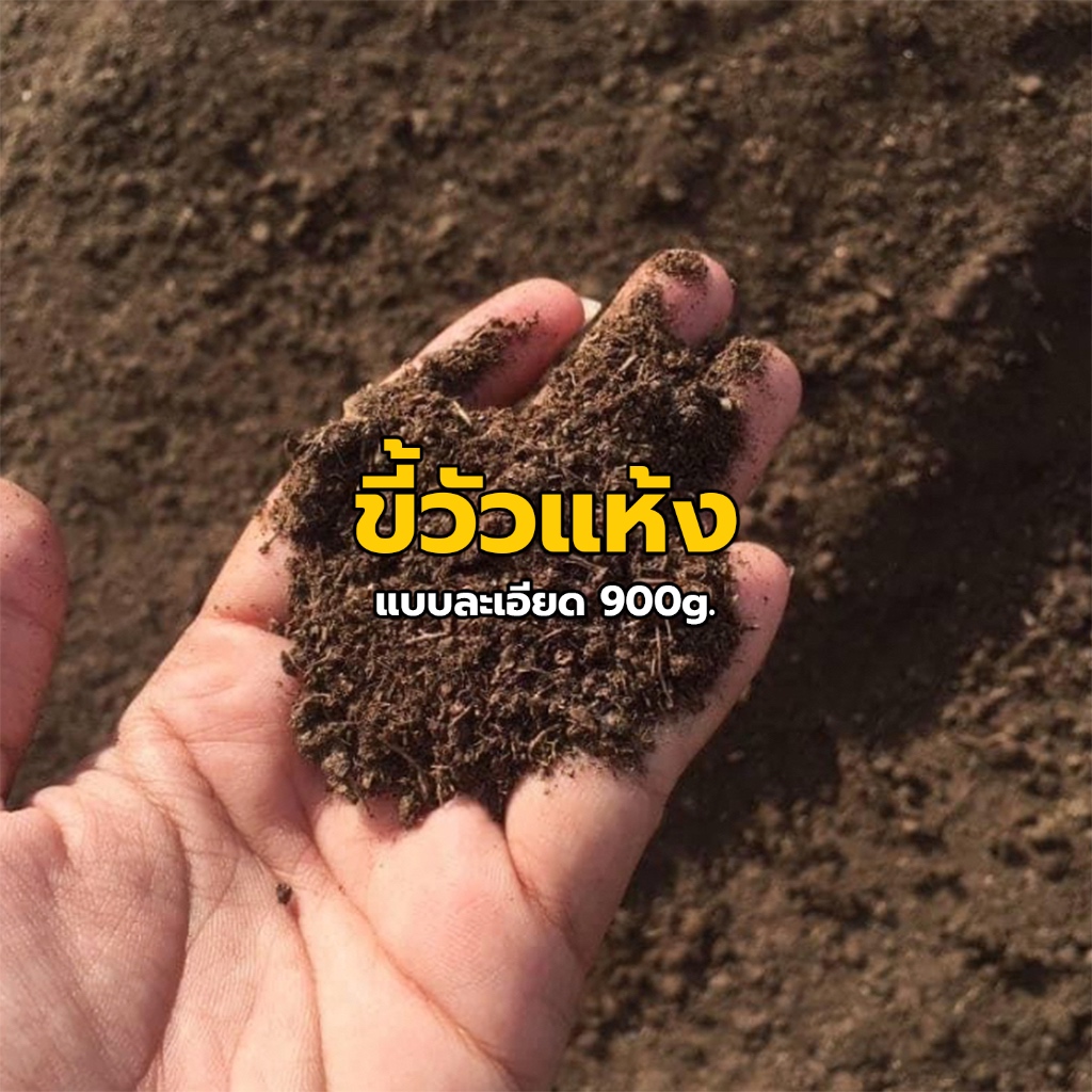 ขี้วัวแห้งแบบละเอียด 900g. ปุ๋ยขี้วัวจากธรรมชาติ บดละเอียด ไม่มีกลิ่น ราคาถูก ปุ๋ยขี้โคขุน ปุ๋ยธรรมชาติ