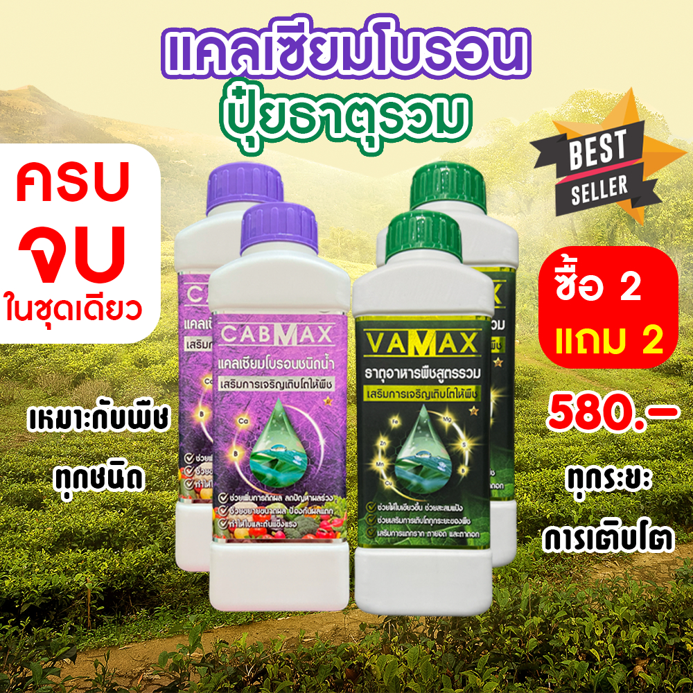 ( 2แถม2 ) CABMAX แคลเซียมและโบรอนเข้มข้น + VAMAX ธาตุอาหารรวมเข้มข้น 4 ลิตร (C2+V2)