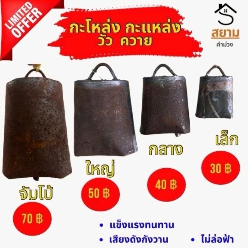 กะโหล่งควาย  กะโหล่งเหล็ก หมากกะโหล่ง  กระดิ่งวัว  กระดิ่งควาย กระดิ่ง หมากกะโหล่ง ไม่ล่อฟ้าปลอดภัย