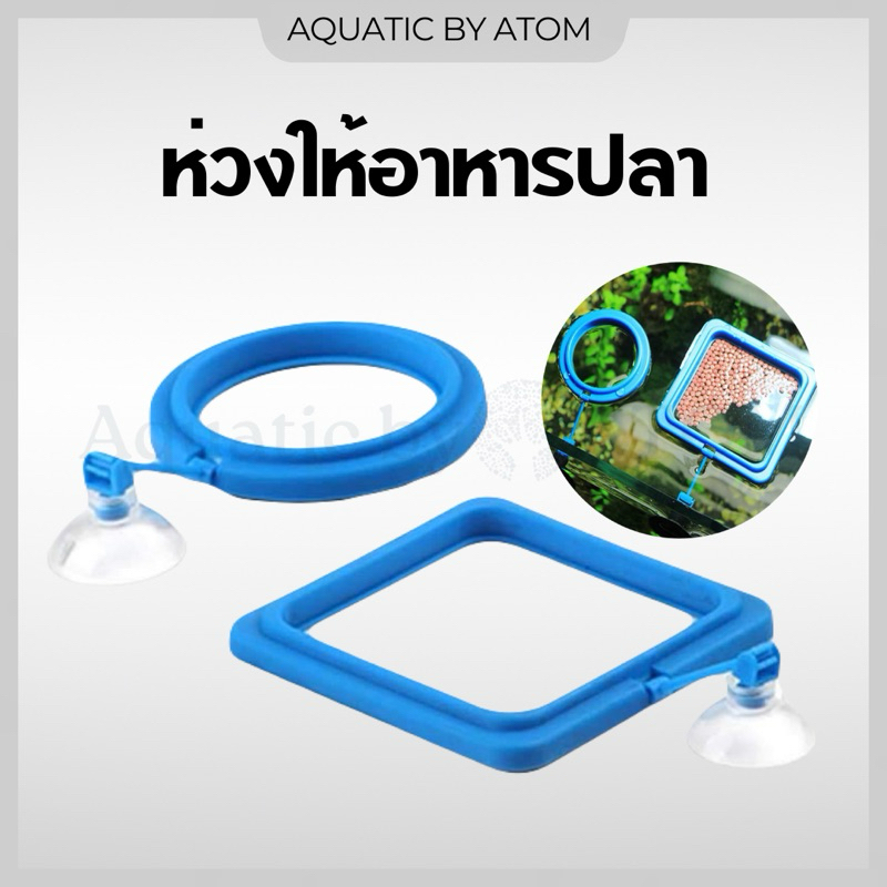 (พร้อมส่ง) ห่วงให้อาหารปลา ที่กั้นอาหารปลา  ที่ให้อาหารปลา ที่กักอาหารปลา