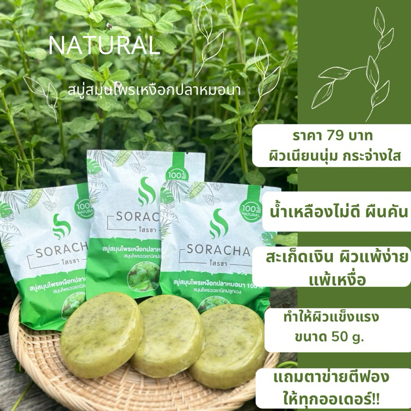สบู่สมุนไพรเหงือกปลาหมอนา SORACHA