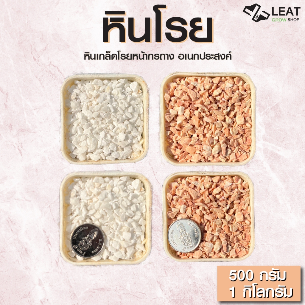 หินโรยหน้ากระถาง หินเกล็ด หินแคคตัส กระบองเพชร หินบอนไซ หินตู้ปลา Leat grow