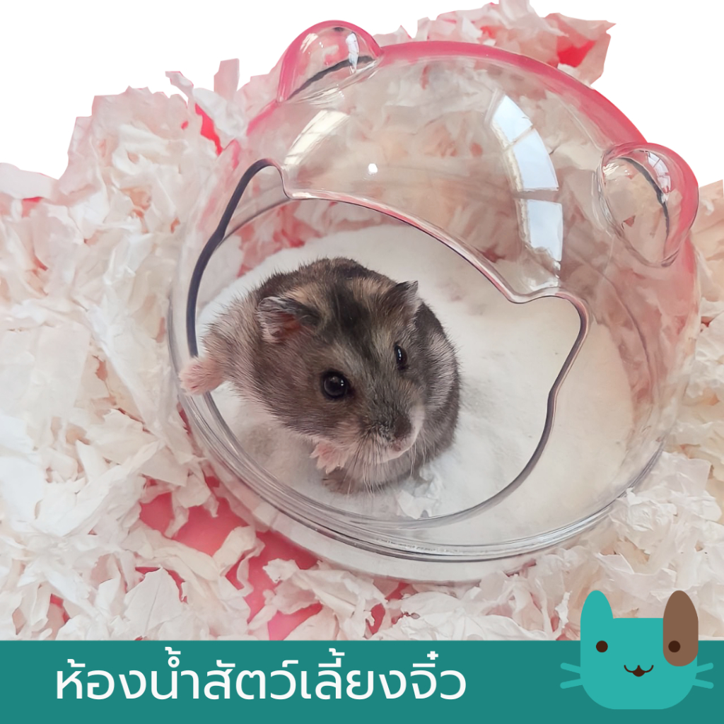 Petaholic ห้องน้ำสัตว์เลี้ยงจิ๋ว ห้องน้ำอะคริลิค ห้องน้ำแฮมเตอร์ เจอร์บิล ดอร์เม้าส์ ไจแอนท์ แบบใส 360องศา