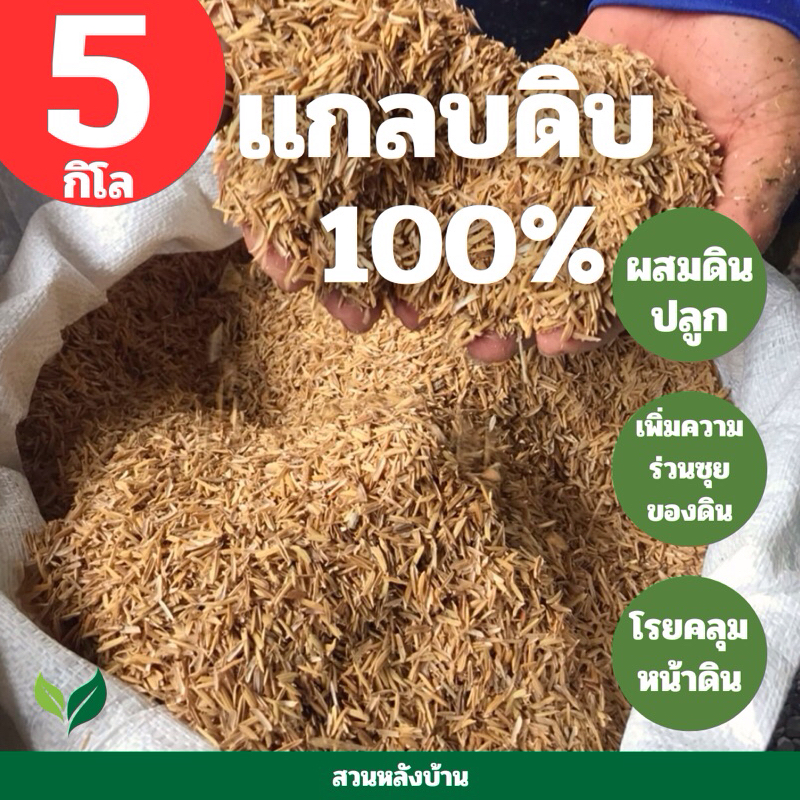 (5กิโล) เเกลบดิบ เเกลบใหม่ เเกลบผสมดิน ใช้บำรุงหน้าดิน ผสมดิน ใหม่จากโรงสี