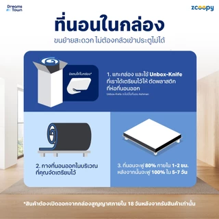 Zcoopy ที่นอนโฟมบลูเจล สัมผัสนุ่มแน่น ลดอาการปวดหลังจากการนอน ระบายอากาศดี ที่นอนไม่สะสมความร้อน รุ่น CoolMax