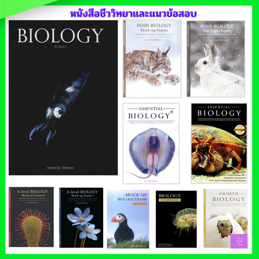 BIOLOGY ชีววิทยา ชีวะ ปลาหมึก กระพรุน กระเบน เต่า | Biology | ชีววิทยา | POSN biology | สอวน | สอวนชีวะ
