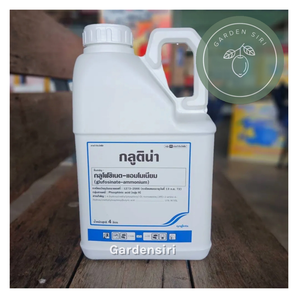กลูติน่า ขนาด 4ลิตร (กลูโฟซิเนต-แอมโมเนียม 15%) ตรา Syngenta ซินเจนทา