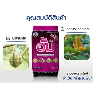 ขนาด 1 กก. อั้ม เทพวัฒนา หรือ Unique MegaPowder เป็นสารปรับปรุงผล ที่ช่วยพัฒนาขนาดผล ลดการแตกใบอ่อน