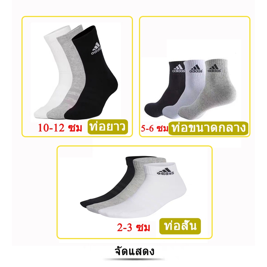 รูปภาพ 2