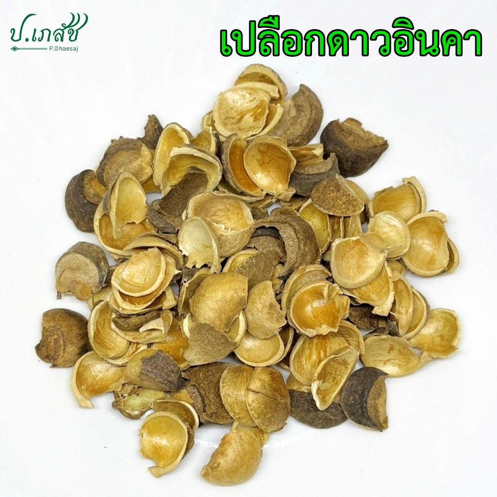 เปลือกดาวอินคา [50 กรัม / 100 กรัม] เปลือกถั่วดาวอินคา
