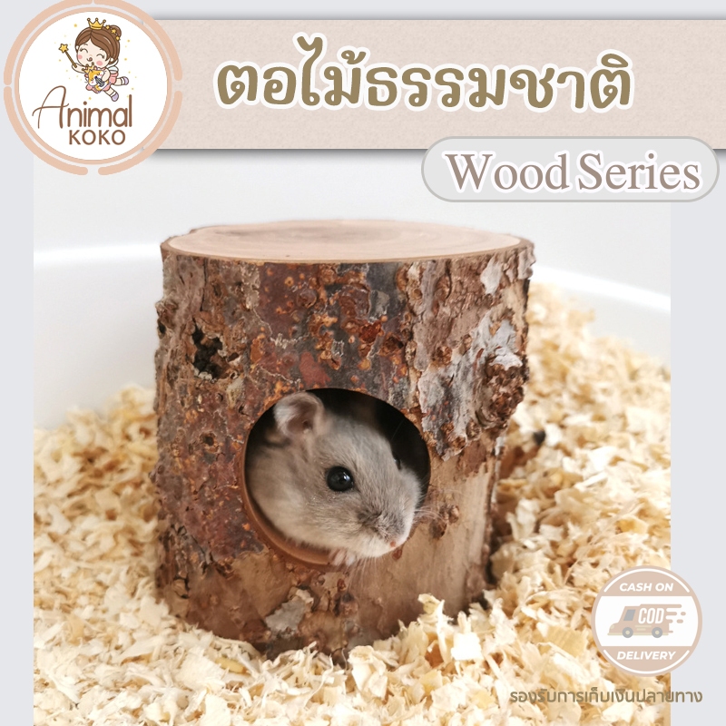 𝑨𝒏𝒊𝒎𝒂𝒍 𝑲𝒐𝑲𝒐 ตอไม้แอปเปิ้ลธรรมชาติ บ้านตอไม้แฮมสเตอร์ ตกแต่งกรงธีมสวนป่า ทำจากไม้แอปเปิ้ล สินค้าพร้อมส่ง