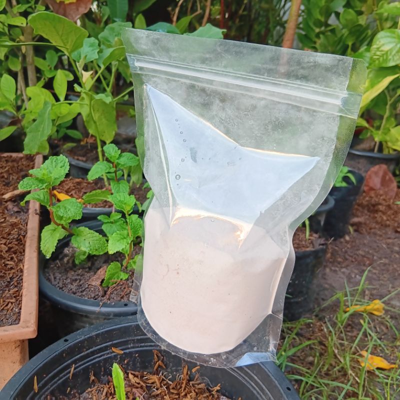 เปลือกไข่บดละเอียด 1000กรัม ไข่บด ไข่บดผง ไข่ป่น  Eggshell Powder Fertilizer #ดินดีดีfarm