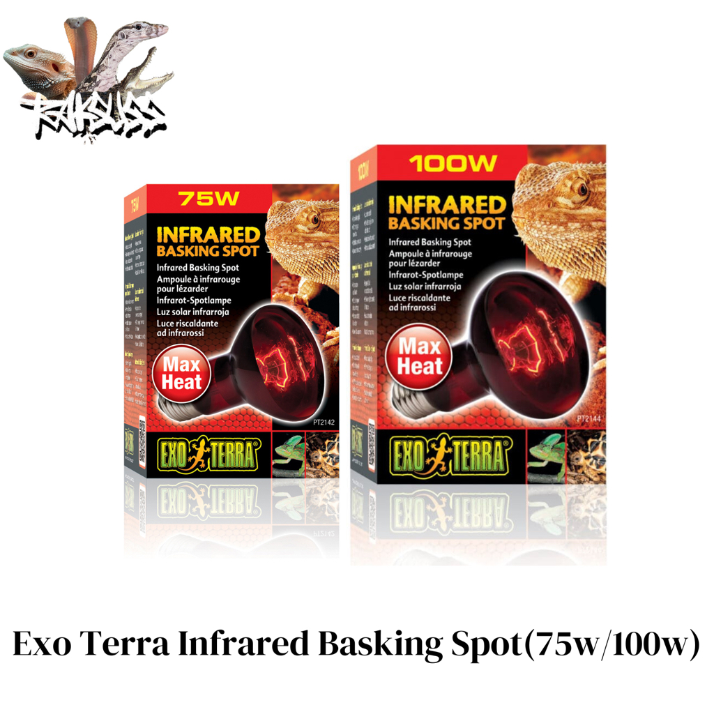 Exo Terra Infrared Basking Spot หลอดไฟให้ความร้อนความอบอุ่นและแสงสว่างกับสัตว์เลี้ยงมีกำลังวัตต์ให้เลือก75wและ100w