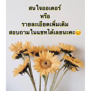 กระดุมย่อ.ดอกจอก.กระดุมดอกจอกประดับปกเสื้อ(ตัวย่อ). เครื่องประดับ