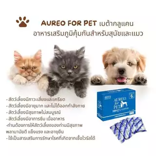 Aureo for Pet 15 ml 🔥 เบต้ากลูแคน Beta glucan กระตุ้นภูมิ เสริมภูมิคุ้มกัน สุนัข แมว
