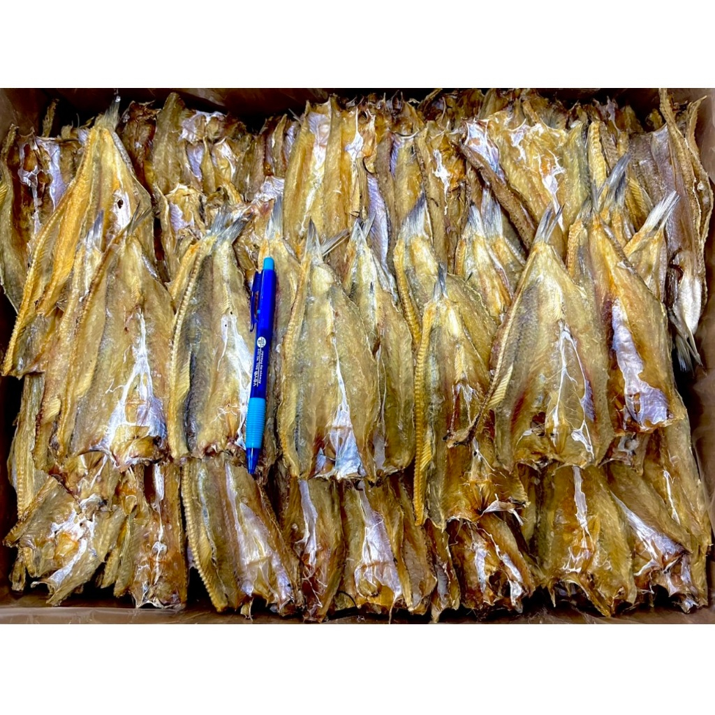 จัดส่งไว ปลาช่อนทะเลไซส์บางกลาง 1000 กรัม รสชาติจืด ราคาโรงงาน นำไปซื้อฝากหรือนำไปขายบวกกำไรได้ ส่งตรงจากท่าฉลอมค่ะ