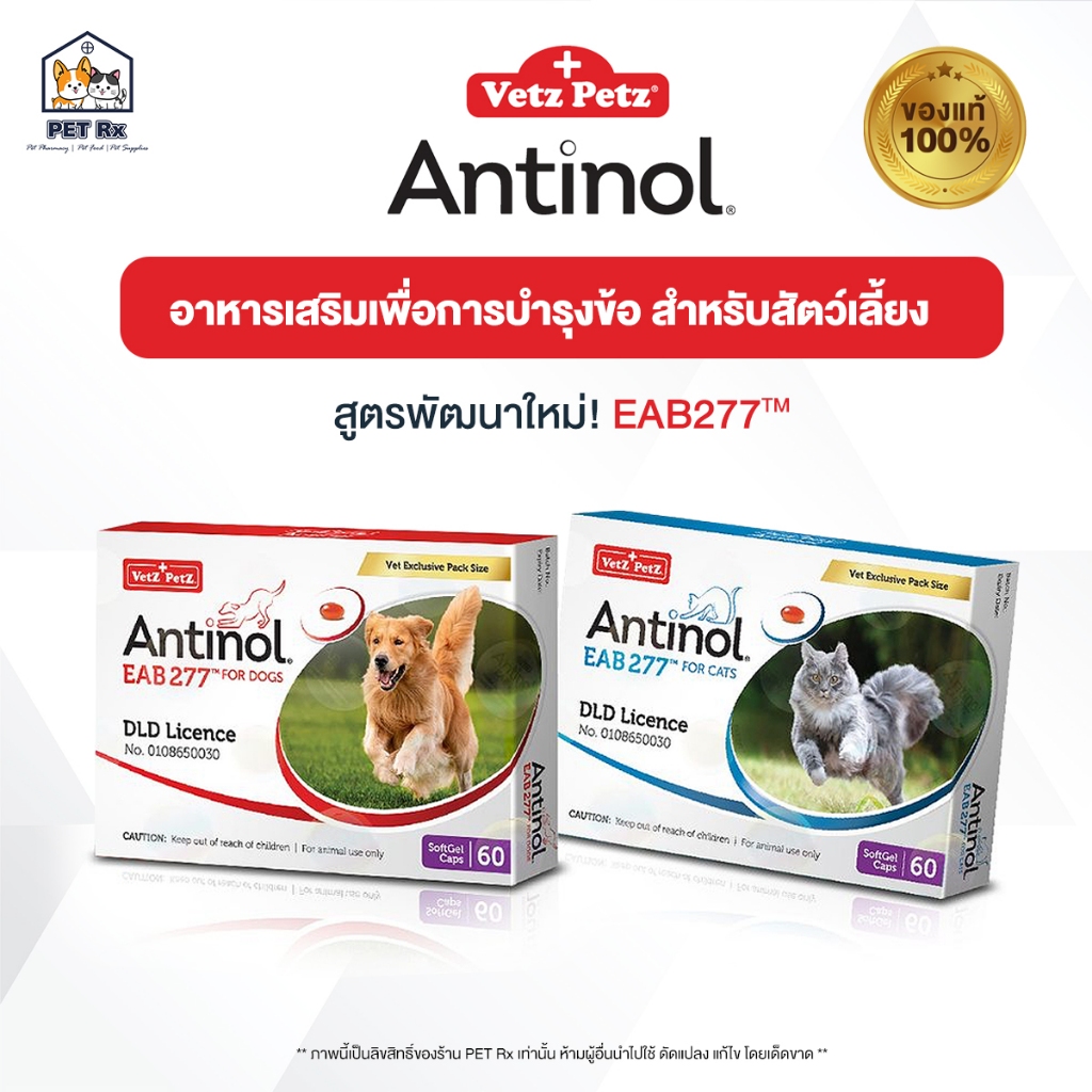 Antinol [แท้ ] สูตรใหม่! EAB277 อาหารเสริมบำรุงข้อ สำหรับสุนัขและแมว