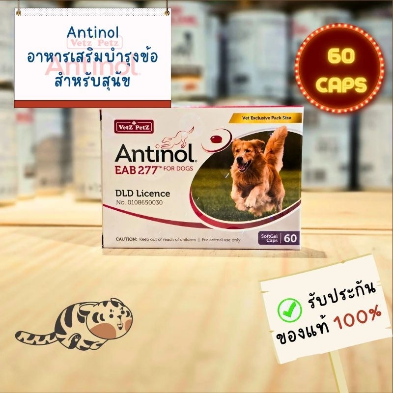 Antinol อาหารเสริมบํารุงข้อสําหรับสุนัข 1กล่อง บรรจุ60เม็ด