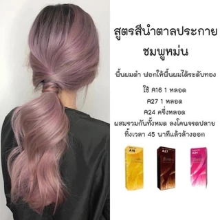 ครีมย้อมผม เบอริน่า ครีมย้อมสีผม น้ำยาเปลี่นสีผม ผลิตภัณฑ์เปลี่ยนสีผม ปริมาณ 60 กรัม พร้อมส่ง
