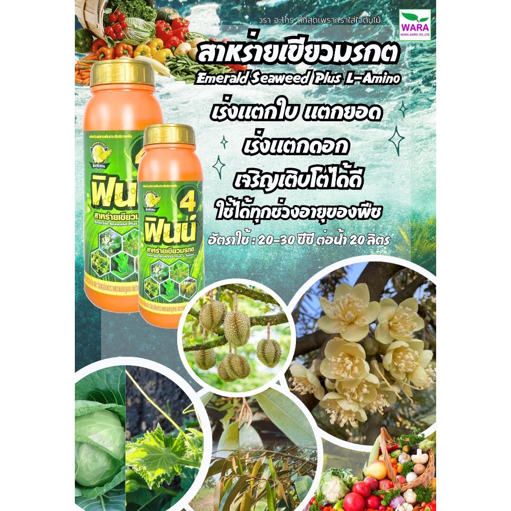 สาหร่ายเขียวมรกตแท้ 100% เข้มข้น แตกยอด ดึงดอกไว พืชเติบโตดี ใบหนา ลำต้นแข็งแรง ฟินน์4