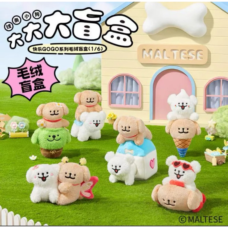(พร้อมส่งจากไทย ) ยกกล่อง ยกBox Maltese Happy Gogo