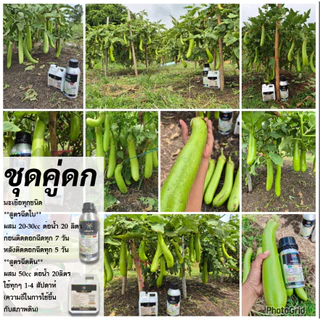 น้ำหมัก แสนงาม ชุดคู่ดก สุดคุ้ม [ฉีดใบ 1ลิตร + ฉีดดิน 1ลิตร] 980บาท สมบูรณ์ตั้งแต่รากถึงยอด