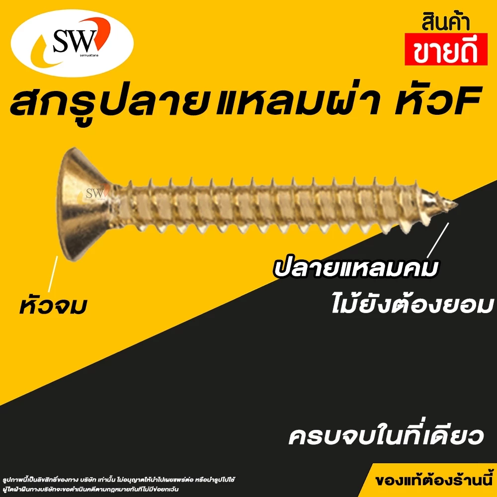SW สกรูน็อตเกลียวปล่อยยิงเหล็ก หัว F เตเปร์ ปลายสว่าน ปลายแหลมผ่า เบอร์ 8 4.2mm thumbnail 5